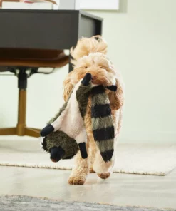 Frisco Fur Really Real Raccoon Plush Squeaky Dog Toy 7 Frisco Fur Really Real Raccoon Plush Squeaky Dog Toy -The Frisco Store 316925 PT2. SY630 V1641400901