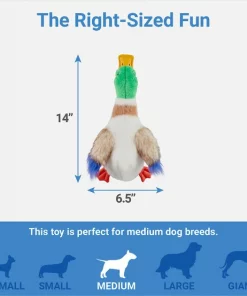 Frisco Fur Really Real Mallard Plush Squeaky Dog Toy 6 Frisco Fur Really Real Mallard Plush Squeaky Dog Toy -The Frisco Store 316927 PT1. SY630 V1641400601