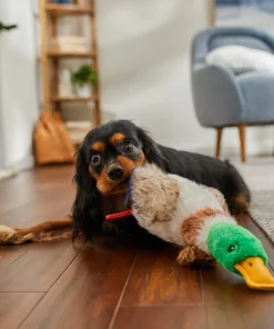 Frisco Fur Really Real Mallard Plush Squeaky Dog Toy 7 Frisco Fur Really Real Mallard Plush Squeaky Dog Toy -The Frisco Store 316927 PT2. SY630 V1641400912