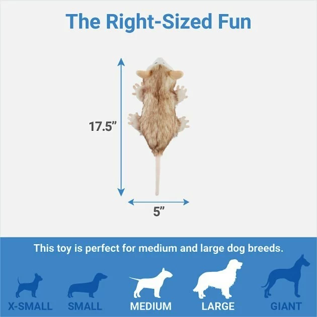 Frisco Fur Really Real Possum Plush Squeaky Dog Toy 4 Frisco Fur Really Real Possum Plush Squeaky Dog Toy - Image 2