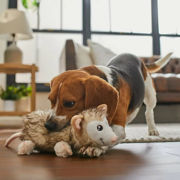 Frisco Fur Really Real Possum Plush Squeaky Dog Toy 5 Frisco Fur Really Real Possum Plush Squeaky Dog Toy - Image 3