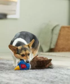 Frisco Fur Really Real Pheasant Plush Squeaky Dog Toy -The Frisco Store 316931 PT2. SY630 V1641400893