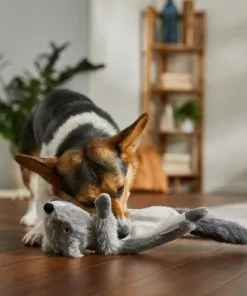 Frisco Fur Really Real Squirrel Plush Laying Squeaky Dog Toy -The Frisco Store 316935 PT2. SY630 V1641400940