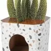 Frisco Potted Succulent Cardboard Cat House -The Frisco Store 317723 MAIN. SY630 V1642086153