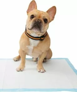 Frisco 4-Panel Plastic Exercise Playpen, White + Dog Training & Potty Pads, 22 x 23-in, 150 count, Unscented -The Frisco Store 318960 PT8. SY630 V1630366595