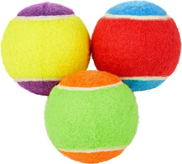 Frisco||Playology Frisco Fetch Squeaking Colorful Tennis Ball, 3-Pack + Playology All Natural Dual Layer Bone Dog Toy, Large, Peanut Butter Scented 4 Frisco||Playology Frisco Fetch Squeaking Colorful Tennis Ball, 3-Pack + Playology All Natural Dual Layer Bone Dog Toy, Large, Peanut Butter Scented - Image 2