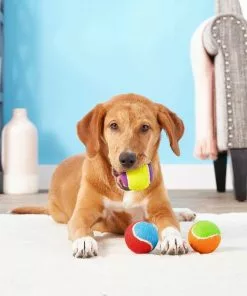 Frisco||Project Hive Pet Company Frisco Fetch Squeaking Colorful Tennis Ball, 3-Pack + Project Hive Pet Company Ball Dog Toy -The Frisco Store 319024 PT3. SY630 V1630550869