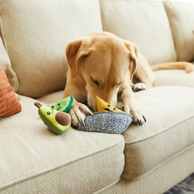 Frisco||Avo Doggo Frisco Hide and Seek Plush Guacamole Toy + Avo Doggo Avocado Dog Tug Toy 7 Frisco||Avo Doggo Frisco Hide and Seek Plush Guacamole Toy + Avo Doggo Avocado Dog Tug Toy - Image 5