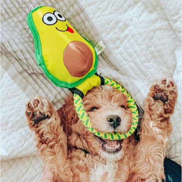 Frisco||Avo Doggo Frisco Hide and Seek Plush Guacamole Toy + Avo Doggo Avocado Dog Tug Toy 10 Frisco||Avo Doggo Frisco Hide and Seek Plush Guacamole Toy + Avo Doggo Avocado Dog Tug Toy - Image 8