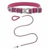 Frisco Outdoor Comfort Print Nylon Padded Collar, Large, Neck: 18 -26-in, Width: 1-in + Outdoor Ultra Reflective Rope Leash With Padded Handle, Boysenberry Purple, 6 - ft 2 Frisco Outdoor Comfort Print Nylon Padded Collar, Large, Neck: 18 -26-in, Width: 1-in + Outdoor Ultra Reflective Rope Leash With Padded Handle, Boysenberry Purple, 6 - ft -The Frisco Store 319070 MAIN. SY630 V1631139670