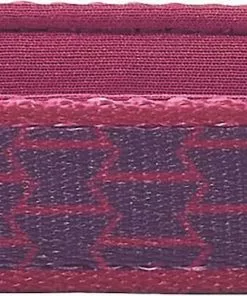 Frisco Outdoor Comfort Print Nylon Padded Collar, Large, Neck: 18 -26-in, Width: 1-in + Outdoor Ultra Reflective Rope Leash With Padded Handle, Boysenberry Purple, 6 - ft -The Frisco Store 319070 PT2. SY630 V1631140581