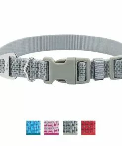 Frisco Outdoor Frisco Nylon Collar, Forest Green, Medium-Neck: 14-20-in, Width: 3/4-in + Rope Leash With Padded Handle, Stone Gray, 6-ft -The Frisco Store 319104 PT1. SY630 V1631148980