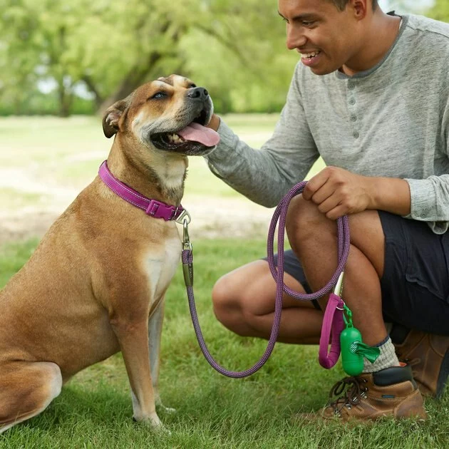 Frisco Outdoor Frisco Nylon Collar, Shadow Purple, Extra Small, Neck: 8-12-in, Width: 5/8th -in + Rope Leash With Padded Handle, Boysenberry Purple, 6-ft 11 Frisco Outdoor Frisco Nylon Collar, Shadow Purple, Extra Small, Neck: 8-12-in, Width: 5/8th -in + Rope Leash With Padded Handle, Boysenberry Purple, 6-ft - Image 9