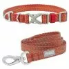 Frisco Outdoor Heathered Nylon Collar, Flamepoint Orange, Small - Neck: 10-14-in, Width: 5/8-in + Dog Leash, Flamepoint Orange, Small - Length: 6-ft, Width: 5/8-in -The Frisco Store 319122 MAIN. SY630 V1631146298
