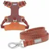 Frisco Outdoor Lightweight Ripstop Nylon Harness, Flamepoint Orange, Extra Large, Neck: 22 to 34-in, Girth: 32 to 44-in + Heathered Dog Leash, Flamepoint Orange, Large - Length: 6-ft, Width: 1-in -The Frisco Store 319148 MAIN. SY630 V1631159485