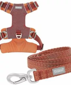 Frisco Outdoor Lightweight Ripstop Nylon Harness, Flamepoint Orange, Large, Neck: 18 to 28-in, Girth 24 to 34-in + Heathered Dog Leash, Flamepoint Orange, Large - Length: 6-ft, Width: 1-in