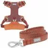 Frisco Outdoor Lightweight Ripstop Nylon Harness, Flamepoint Orange, Small, Neck: 13 to 19-in, Girth: 16 to 22-in + Heathered Dog Leash, Flamepoint Orange, Small - Length: 6-ft, Width: 5/8-in -The Frisco Store 319160 MAIN. SY630 V1631154678