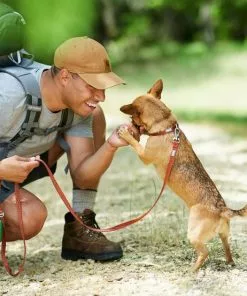 Frisco Outdoor Lightweight Ripstop Nylon Harness, Flamepoint Orange, Small, Neck: 13 to 19-in, Girth: 16 to 22-in + Heathered Dog Leash, Flamepoint Orange, Small - Length: 6-ft, Width: 5/8-in -The Frisco Store 319160 PT8. SY630 V1631138790