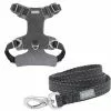 Frisco Outdoor Lightweight Ripstop Nylon Harness, Storm Gray, Extra Large, Neck: 22 to 34-in, Girth: 32 to 44-in + Heathered Dog Leash, Midnight Black, LG - Length: 6-ft, Width: 1-in -The Frisco Store 319196 MAIN. SY630 V1631151688