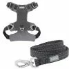 Frisco Outdoor Lightweight Ripstop Nylon Harness, Storm Gray, Large, Neck: 18 to 28-in, Girth 24 to 34-in + Heathered Dog Leash, Midnight Black, LG - Length: 6-ft, Width: 1-in -The Frisco Store 319200 MAIN. SY630 V1631142991