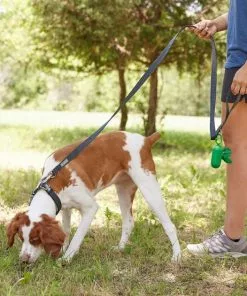 Frisco Outdoor Lightweight Ripstop Nylon Harness, Storm Gray, Large, Neck: 18 to 28-in, Girth 24 to 34-in + Heathered Dog Leash, Midnight Black, LG - Length: 6-ft, Width: 1-in -The Frisco Store 319200 PT8. SY630 V1631147195