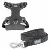 Frisco Outdoor Lightweight Ripstop Nylon Harness, Storm Gray, Small, Neck: 13 to 19-in, Girth: 16 to 22-in + Heathered Dog Leash, Midnight Black, SM - Length: 6-ft, Width: 5/8-in -The Frisco Store 319208 MAIN. SY630 V1631150492
