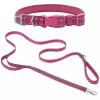 Frisco Outdoor Nylon Reflective Comfort Padded Collar, Boysenberry Purple, Extra Small, Neck: 8-12-in, Width: 5/8th -in + Dog Leash, Boysenberry Purple, Small - Length: 6-ft, Width: 5/8-in 1 Frisco Outdoor Nylon Reflective Comfort Padded Collar, Boysenberry Purple, Extra Small, Neck: 8-12-in, Width: 5/8th -in + Dog Leash, Boysenberry Purple, Small - Length: 6-ft, Width: 5/8-in -The Frisco Store 319220 MAIN. SY630 V1631148085