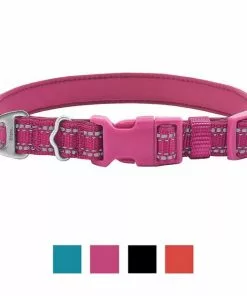 Frisco Outdoor Nylon Reflective Comfort Padded Collar, Boysenberry Purple, Extra Small, Neck: 8-12-in, Width: 5/8th -in + Dog Leash, Boysenberry Purple, Small - Length: 6-ft, Width: 5/8-in -The Frisco Store 319220 PT1. SY630 V1631150199