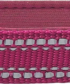 Frisco Outdoor Nylon Reflective Comfort Padded Collar, Boysenberry Purple, Extra Small, Neck: 8-12-in, Width: 5/8th -in + Dog Leash, Boysenberry Purple, Small - Length: 6-ft, Width: 5/8-in -The Frisco Store 319220 PT2. SY630 V1631154092