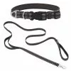 Frisco Outdoor Nylon Reflective Comfort Padded Collar, Midnight Black, SM - Neck: 10-14-in, Width: 5/8-in + Dog Leash, Midnight Black, SM - Length: 6-ft, Width: 5/8-in -The Frisco Store 319232 MAIN. SY630 V1631150195