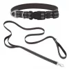 Frisco Outdoor Nylon Reflective Comfort Padded Collar, Midnight Black, XS, Neck: 8-12-in, Width: 5/8th -in + Dog Leash, Midnight Black, SM - Length: 6-ft, Width: 5/8-in -The Frisco Store 319234 MAIN. SY630 V1631145076