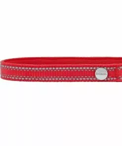 Frisco Outdoor Nylon Reflective Comfort Padded Collar, Sunset Orange, Large, Neck: 18 -26-in, Width: 1-in + Dog Leash, Sunset Orange, Large - Length: 6-ft, Width: 1-in -The Frisco Store 319238 PT2. SY630 V1631160107