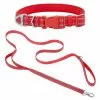 Frisco Outdoor Nylon Reflective Comfort Padded Collar, Sunset Orange, Medium - Neck: 14-20-in, Width: 3/4-in + Dog Leash, Sunset Orange, Medium - Length: 6-ft, Width: 3/4-in