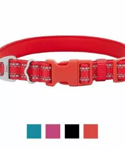 Frisco Outdoor Nylon Reflective Comfort Padded Collar, Sunset Orange, Medium - Neck: 14-20-in, Width: 3/4-in + Dog Leash, Sunset Orange, Medium - Length: 6-ft, Width: 3/4-in -The Frisco Store 319240 PT1. SY630 V1631144173