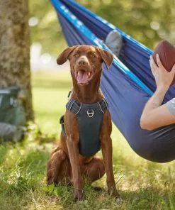 Frisco Outdoor Premium Ripstop Nylon Harness with Pocket, Midnight Black, XL - Girth: 32-44-in + Reflective Comfort Padded Dog Collar, Midnight Black, LG, Neck: 18 -26-in, Width: 1-in -The Frisco Store 319304 PT4. SY630 V1631148069