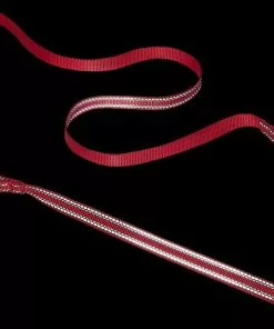 Frisco Outdoor Premium Ripstop Nylon Harness with Pocket, Sunset Orange, Large, Neck: 18 to 28-in, Girth 24 to 34-in + Reflective Comfort Padded Dog Leash, Sunset Orange, Large - Length: 6-ft, Width: 1-in -The Frisco Store 319316 PT7. SY630 V1631150488