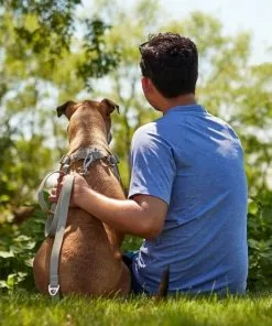 Frisco Outdoor Solid Textured Waterproof Stink Proof PVC Collar, Storm Gray, Extra Small - Neck: 8-12-in, Width: 5/8th-in + Dog Leash, Storm Gray, Small - Length: 6-ft, Width: 5/8-in -The Frisco Store 319348 PT7. SY630 V1631157978