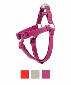Frisco Outdoor Solid Textured Waterproof Stink Proof PVC Harness, Boysenberry Purple, Large, Neck: 19 to 27-in, Girth: 23 to 36-in + Dog Leash, Boysenberry Purple, Large - Length: 6-ft, Width: 1-in -The Frisco Store 319356 PT1. SY630 V1631151982
