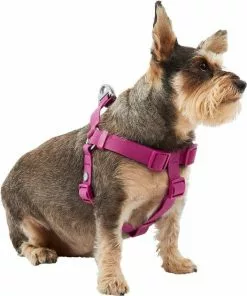 Frisco Outdoor Solid Textured Waterproof Stink Proof PVC Harness, Boysenberry Purple, Large, Neck: 19 to 27-in, Girth: 23 to 36-in + Dog Leash, Boysenberry Purple, Large - Length: 6-ft, Width: 1-in -The Frisco Store 319356 PT2. SY630 V1631150788
