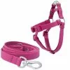 Frisco Outdoor Solid Textured Waterproof Stink Proof PVC Harness, Boysenberry Purple, Small, Neck: 14 to 19-in, Girth: 16 to 23-in + Dog Leash, Boysenberry Purple, Small - Length: 6-ft, Width: 5/8-in -The Frisco Store 319360 MAIN. SY630 V1631149281
