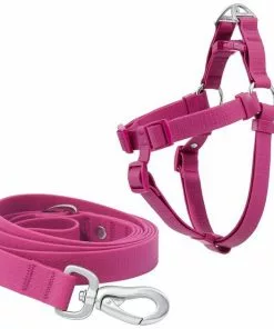 Frisco Outdoor Solid Textured Waterproof Stink Proof PVC Harness, Boysenberry Purple, Small, Neck: 14 to 19-in, Girth: 16 to 23-in + Dog Leash, Boysenberry Purple, Small - Length: 6-ft, Width: 5/8-in