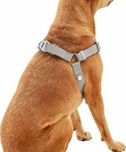 Frisco Outdoor Solid Textured Waterproof Stink Proof PVC Harness, Storm Gray, Medium, Neck: 16 to 22-in, Girth: 19 to 29-in + Dog Leash, Storm Gray, Medium - Length: 6-ft, Width: 3/4-in -The Frisco Store 319366 PT3. SY630 V1631141783