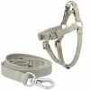 Frisco Outdoor Solid Textured Waterproof Stink Proof PVC Harness, Storm Gray, Small, Neck: 14 to 19-in, Girth: 16 to 23-in + Dog Leash, Storm Gray, Small - Length: 6-ft, Width: 5/8-in