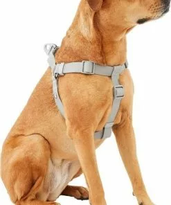 Frisco Outdoor Solid Textured Waterproof Stink Proof PVC Harness, Storm Gray, Small, Neck: 14 to 19-in, Girth: 16 to 23-in + Dog Leash, Storm Gray, Small - Length: 6-ft, Width: 5/8-in 13 Frisco Outdoor Solid Textured Waterproof Stink Proof PVC Harness, Storm Gray, Small, Neck: 14 to 19-in, Girth: 16 to 23-in + Dog Leash, Storm Gray, Small - Length: 6-ft, Width: 5/8-in -The Frisco Store 319368 PT2. SY630 V1631155880