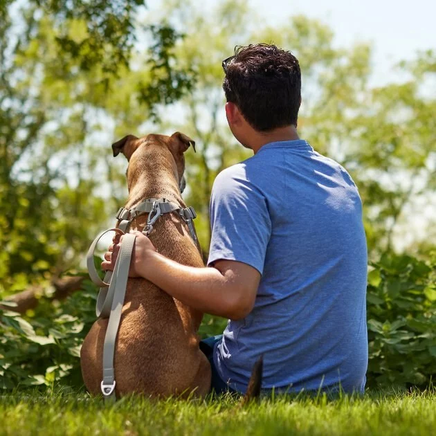 Frisco Outdoor Solid Textured Waterproof Stink Proof PVC Harness, Storm Gray, Small, Neck: 14 to 19-in, Girth: 16 to 23-in + Dog Leash, Storm Gray, Small - Length: 6-ft, Width: 5/8-in 11 Frisco Outdoor Solid Textured Waterproof Stink Proof PVC Harness, Storm Gray, Small, Neck: 14 to 19-in, Girth: 16 to 23-in + Dog Leash, Storm Gray, Small - Length: 6-ft, Width: 5/8-in - Image 9