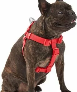 Frisco Outdoor Solid Textured Waterproof Stink Proof PVC Harness, Sunset Orage, Large, Neck: 19 to 27-in, Girth: 23 to 36-in + Dog Leash, Sunset Orange, LG - Length: 6-ft, Width: 1-in -The Frisco Store 319372 PT2. SY630 V1631152598