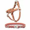 Frisco Outdoor Two Tone Waterproof Stinkproof PVC Harness, Flamepoint Orange, Medium, Neck: 16 to 22-in, Girth: 19 to 29-in + Dog Collar, Flamepoint Orange, Medium - Neck: 14½-20-in, Width: 3/4-in