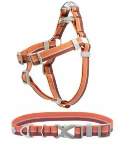 Frisco Outdoor Two Tone Waterproof Stinkproof PVC Harness, Flamepoint Orange, Medium, Neck: 16 to 22-in, Girth: 19 to 29-in + Dog Collar, Flamepoint Orange, Medium - Neck: 14½-20-in, Width: 3/4-in