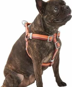 Frisco Outdoor Two Tone Waterproof Stinkproof PVC Harness, Flamepoint Orange, Medium, Neck: 16 to 22-in, Girth: 19 to 29-in + Dog Collar, Flamepoint Orange, Medium - Neck: 14½-20-in, Width: 3/4-in -The Frisco Store 319382 PT2. SY630 V1631145371