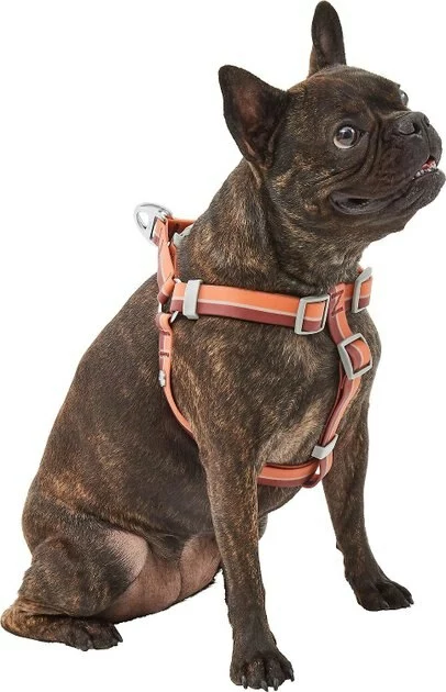 Frisco Outdoor Two Tone Waterproof Stinkproof PVC Harness, Flamepoint Orange,Extra Large, Neck: 22 to 33-in, Girth: 32 to 44-in + Outdoor Two Tone Waterproof Stinkproof PVC Harness, Shadow Purple, Large, Neck: 19 to 27-in, Girth: 23 to 36-in 5 Frisco Outdoor Two Tone Waterproof Stinkproof PVC Harness, Flamepoint Orange,Extra Large, Neck: 22 to 33-in, Girth: 32 to 44-in + Outdoor Two Tone Waterproof Stinkproof PVC Harness, Shadow Purple, Large, Neck: 19 to 27-in, Girth: 23 to 36-in - Image 3
